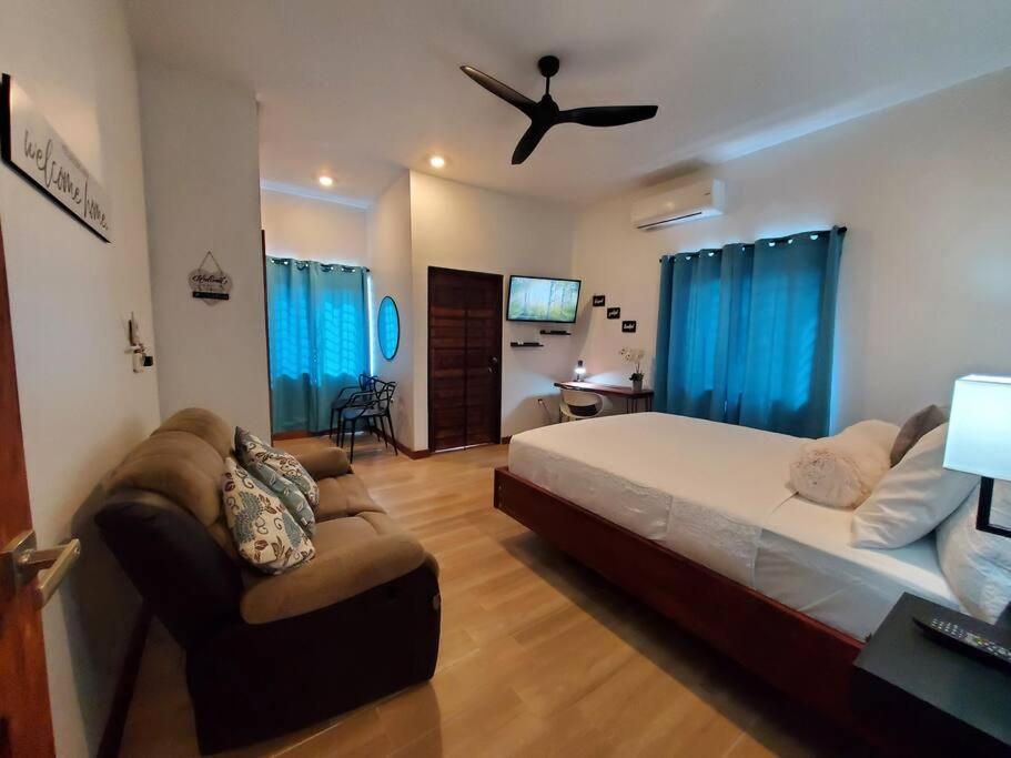 'The Solace' New Luxury Modern 1Bed 1Bath Apt. 波特莫尔 外观 照片