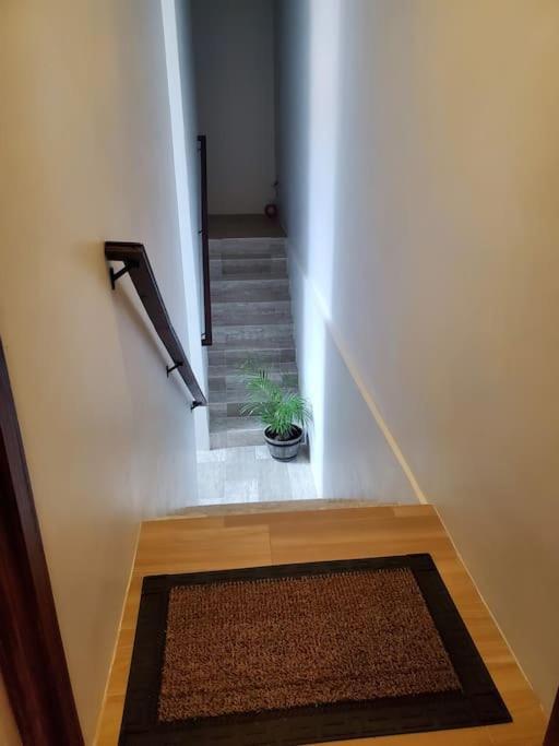 'The Solace' New Luxury Modern 1Bed 1Bath Apt. 波特莫尔 外观 照片
